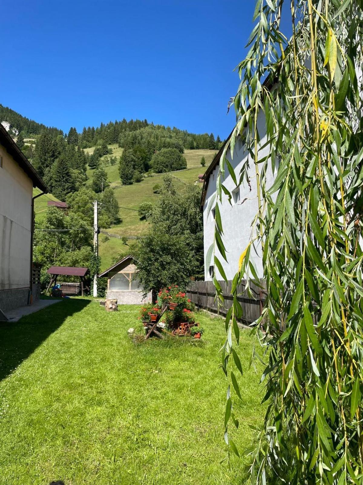 Casa Anastasia - Moieciu De Sus Моечиу-де-Сус Экстерьер фото